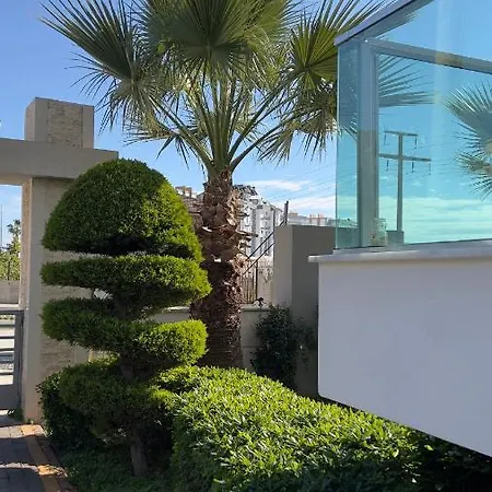 Palm Apartament *